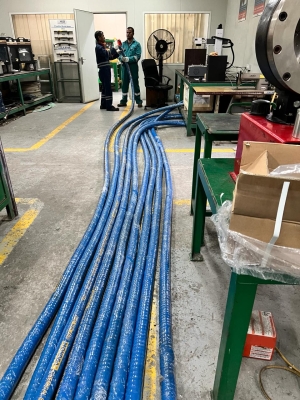 Hoses 2